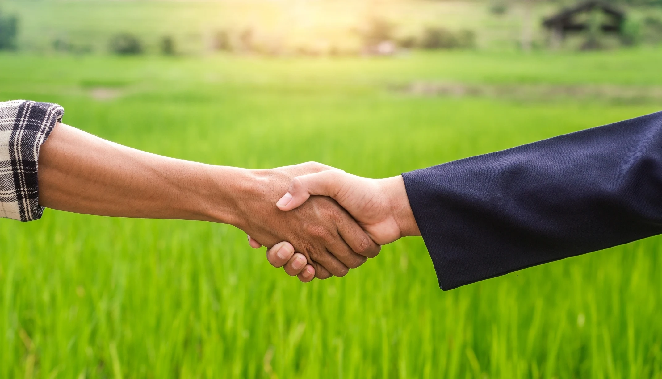 Annapurna Agro Partners