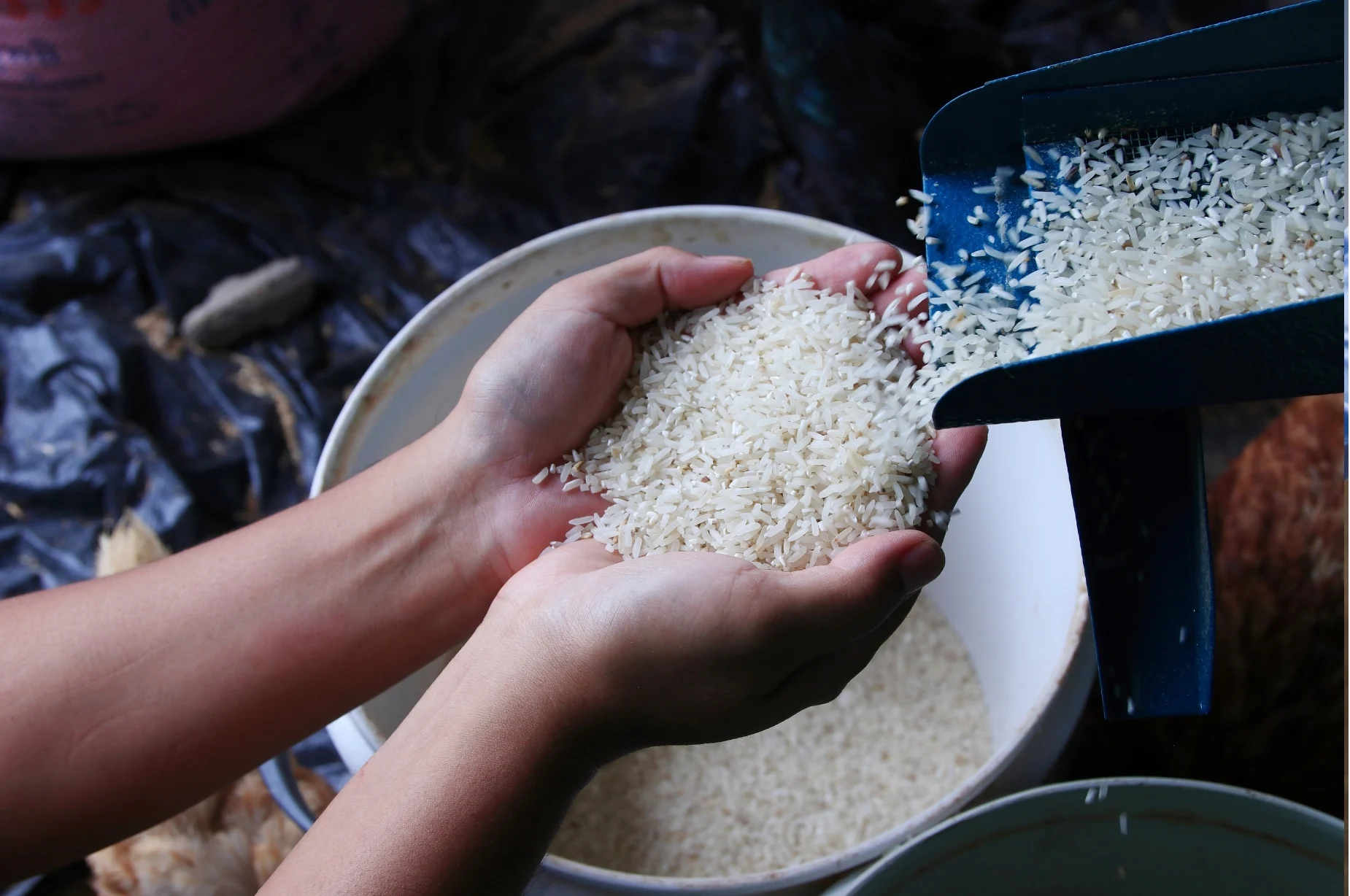 Annapurna Agro Quality Assurance